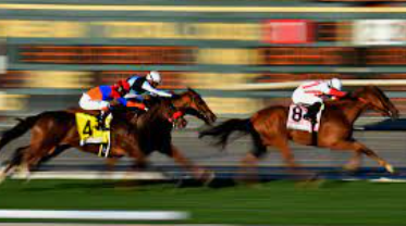 Online horse betting formula to make money